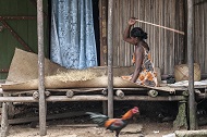 images/Reportage/Reportage (10).jpg